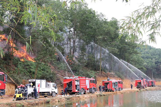 Hà Nội tăng cường bảo vệ rừng và phòng cháy, chữa cháy rừng