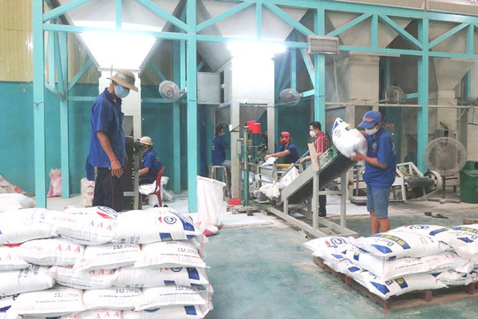Xuất khẩu gạo của Việt Nam quý I đạt 1,4 tỷ USD