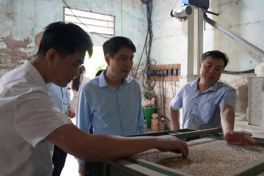 Huyện Thanh Oai: Chú trọng tuyên truyền, kiểm tra để bảo đảm an toàn thực phẩm