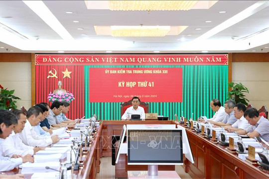 Đề nghị kỷ luật Ban Thường vụ Thành uỷ TP Hồ Chí Minh nhiệm kỳ 2010-2015