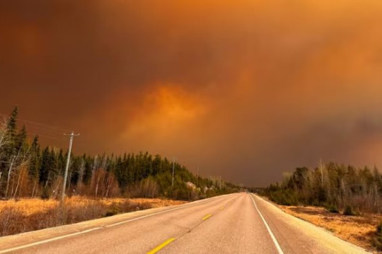 Cháy rừng ở miền Tây Canada lan rộng tới 10.000 ha