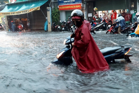 Thành phố Hồ Chí Minh cần bài toán tổng thể giải quyết ngập do mưa