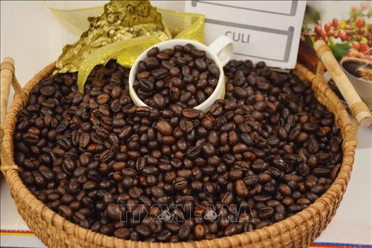 Giá cà phê tăng mạnh do gián đoạn vận tải