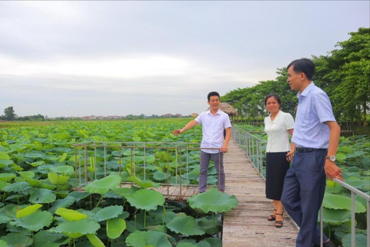 Thẩm định 3 xã xây dựng nông thôn mới kiểu mẫu ở Sóc Sơn