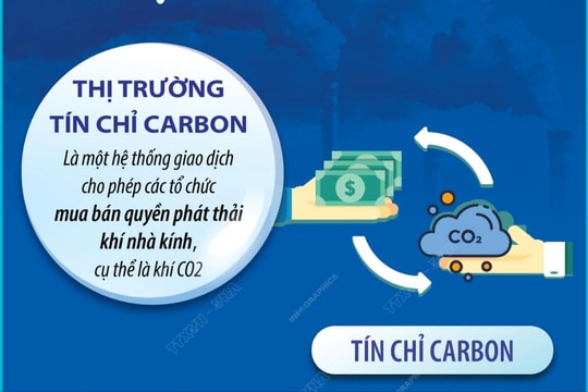 Những điều cần biết về thị trường carbon