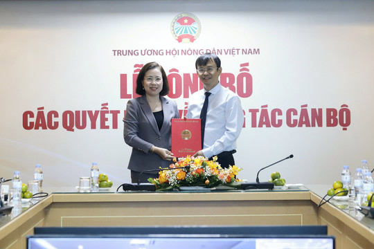 Bổ nhiệm ông Nguyễn Văn Hoài làm Tổng Biên tập Báo Nông thôn Ngày nay