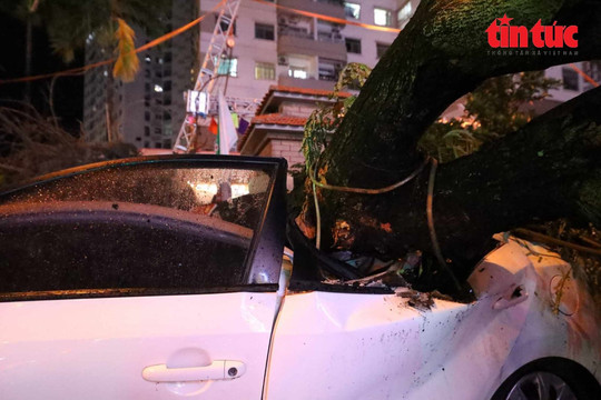 Hà Nội: Mưa kèm gió lớn khiến cây đổ đè lên nhiều ô tô