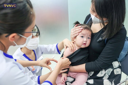 Hà Nội Phát hiện ca mắc viêm não Nhật Bản đầu tiên trong năm 2024