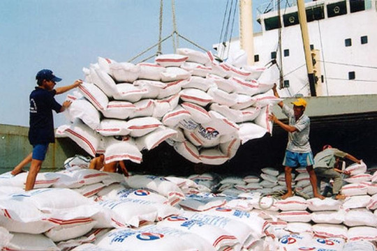 Cơ hội cho gạo Việt khi Philippines giảm thuế nhập khẩu