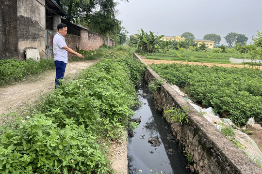 Trang trại chăn nuôi gây ô nhiễm môi trường tại xã Lê Thanh (huyện Mỹ Đức): Phải sớm xử lý dứt điểm