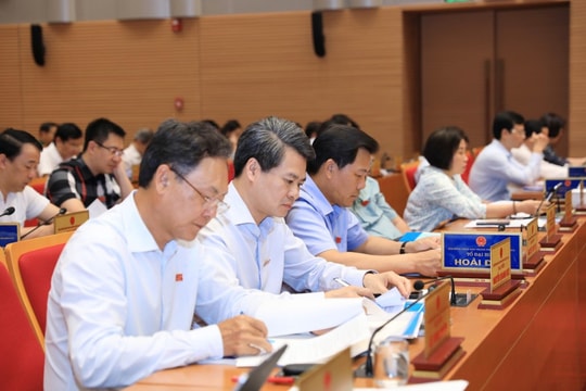 Tổ chức điều tra, nghiên cứu thị trường khách quốc tế và nội địa
