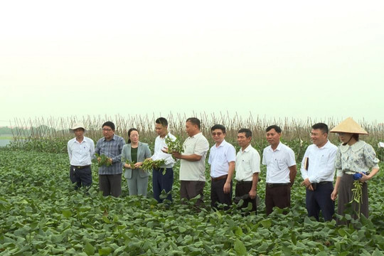 Hà Nội: Củng cố tổ chức Hội Nông dân phù hợp với sắp xếp đơn vị hành chính