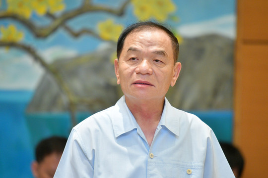 Cho phép khởi tố, bắt tạm giam, tạm đình chỉ đại biểu Quốc hội khóa XV đối với ông Lê Thanh Vân