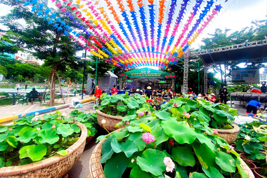Tây Hồ sẵn sàng cho lễ hội Sen Hà Nội 2024