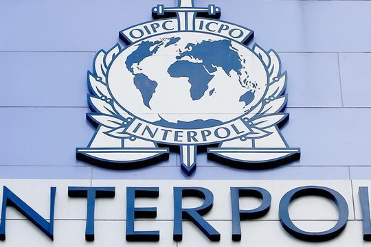 Interpol bắt giữ 300 người trong chiến dịch trấn áp tội phạm Tây Phi