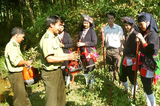 Chi cục Kiểm lâm Hà Nội: Nâng cao nghiệp vụ quản lý, bảo vệ rừng