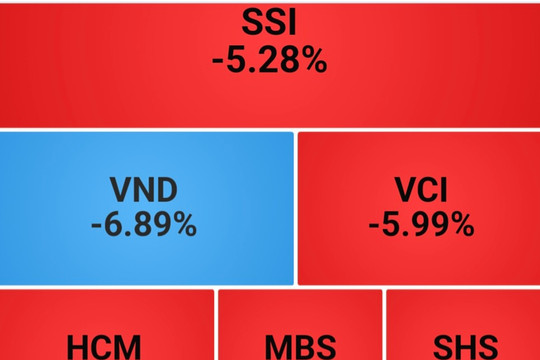 Nguyên nhân nào khiến chứng khoán “rơi”?