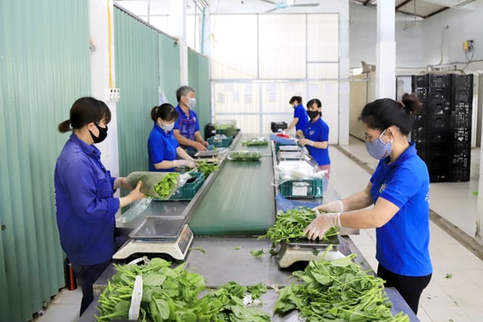 Hà Nội ứng dụng công nghệ thông tin bảo đảm an toàn thực phẩm