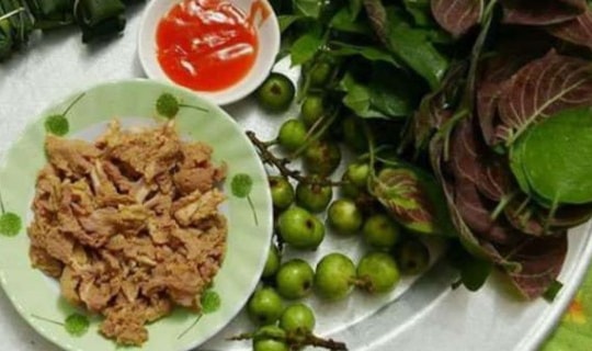 Nhiễm ấu trùng giun do thường xuyên ăn thịt chua