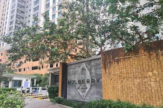Khởi tố nữ thư ký Ban quản trị chung cư Mulberry Lane ở Hà Đông