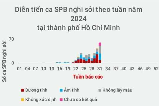 Số ca nhiễm sởi gia tăng, ngành Y tế thành phố Hồ Chí Minh triển khai 2 giải pháp khẩn cấp