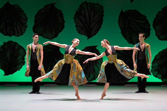 Nghệ sĩ Pháp biểu diễn ballet “The Seasons” giữa lòng Hà Nội