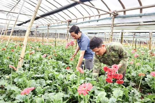 Đan Phượng phát triển sản phẩm OCOP: Tạo lực đẩy cho các làng nghề