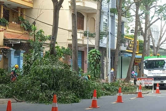 Bà Rịa - Vũng Tàu: Tăng cường công tác phòng, chống thiên tai