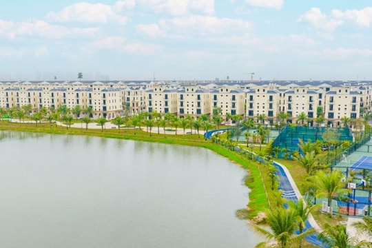 Hấp lực của “thiên đường nhiệt đới biệt lập” trong lòng Ocean City