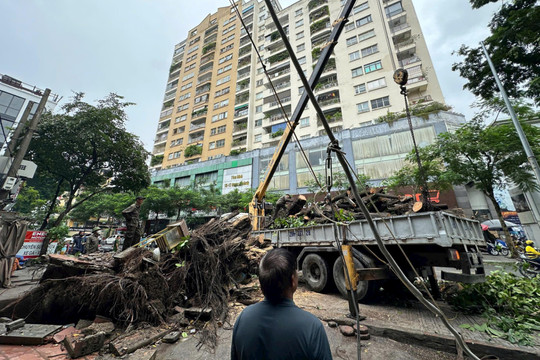 Hà Nội: Các sở, ngành, địa phương chủ động ứng phó bão số 3