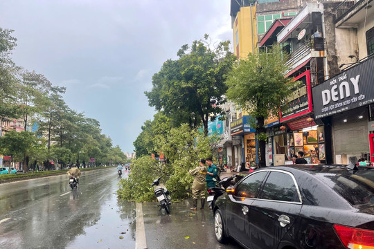 Dông lốc chiều 6-9 tại Hà Nội làm 7 người thương vong, 155 cây xanh gãy đổ