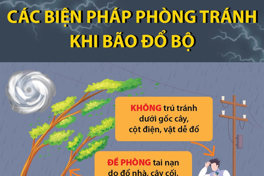 Các biện pháp phòng tránh khi bão đổ bộ