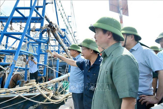 Phó Thủ tướng Trần Hồng Hà: Chủ động phòng, chống gió mạnh, vùng hoàn lưu lớn và nguy cơ sạt lở cao trên diện rộng