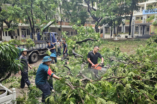 Thành phố Hà Nội dồn lực khắc phục hậu quả bão số 3