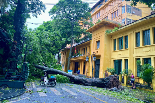 Hà Nội: 5 điểm úng ngập sắp rút hết nước, dồn lực giải tỏa cây gãy đổ