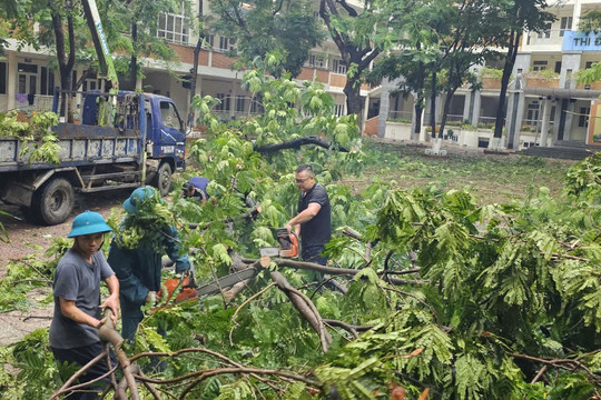 Cầu Giấy chung tay khắc phục hậu quả thiên tai