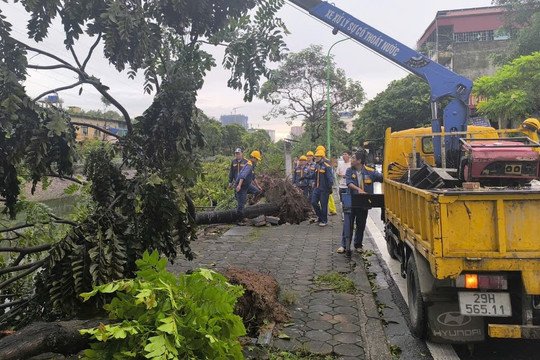 Hối hả giải toả cây xanh gãy đổ trên nhiều tuyến phố