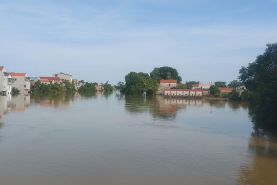 Dự báo mưa lớn kết hợp lũ rừng ngang, 4 huyện Hà Nội tập trung ứng phó