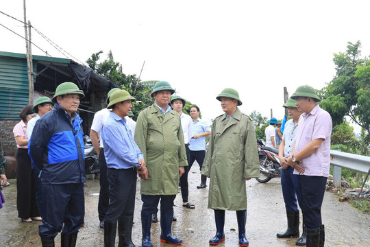 Chủ tịch HĐND thành phố Nguyễn Ngọc Tuấn kiểm tra các tuyến đê tại huyện Thường Tín