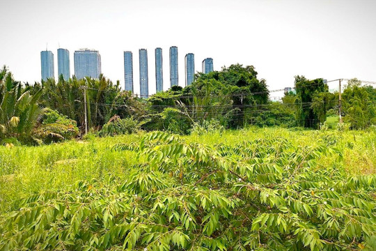 TP Hồ Chí Minh: Hài hòa lợi ích khi bảng giá đất tăng