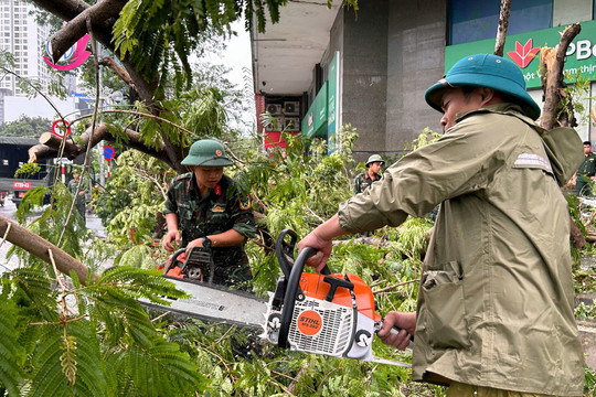 Hà Nội: Hoàn thành thu dọn cây xanh gãy, đổ ở các quận trước 20-9