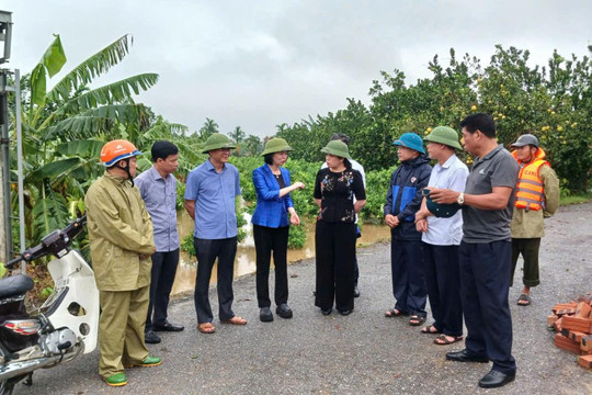 Ứng Hòa: Quyết liệt bảo vệ vùng xung yếu, bảo đảm an toàn khu dân cư