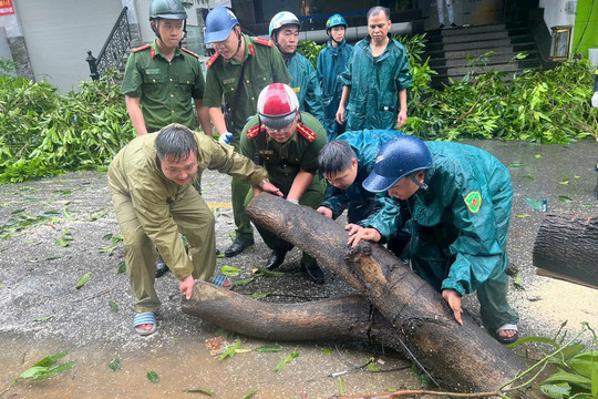 Cầu Giấy dồn lực ứng phó với bão số 3