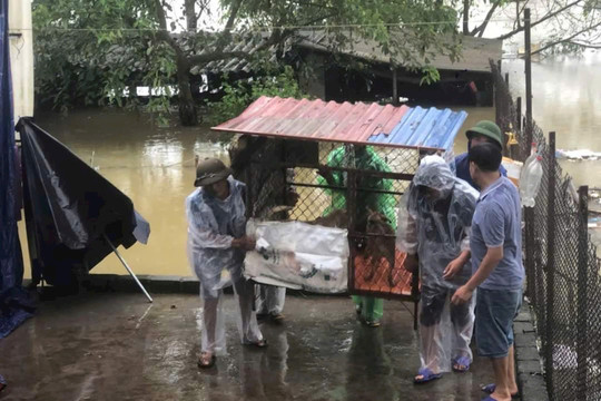 Công đoàn Thủ đô chung tay chống bão lũ