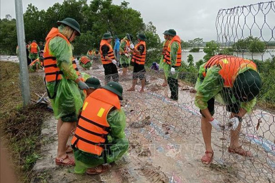 Hà Nội: Kịp thời triển khai xử lý các sự cố đê điều ngay từ giờ đầu