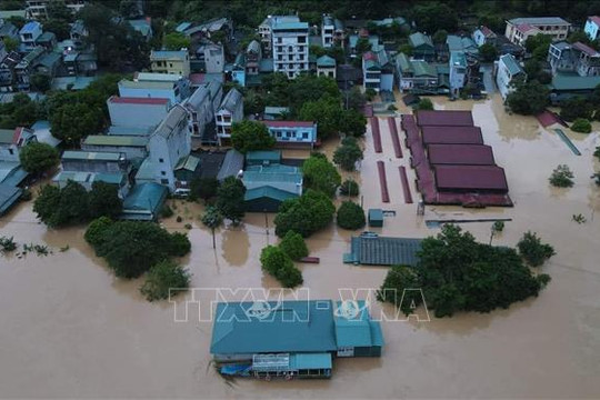 Người dân vùng bão lũ không sử dụng gia súc, gia cầm chết chế biến thực phẩm