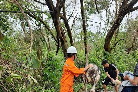 [Podcast] Tin tức ngày 11-9: Ngừng cấp điện các điểm ngập ở Hà Nội để bảo đảm an toàn