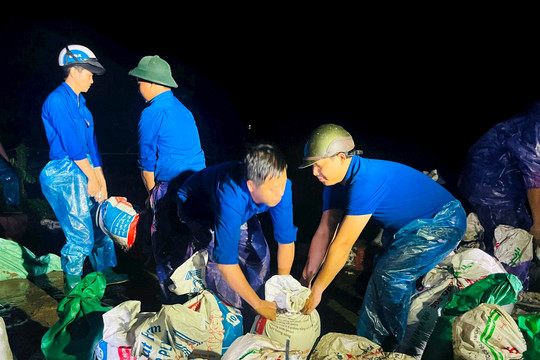 600 thanh niên Thường Tín sẵn sàng hỗ trợ bảo đảm an toàn đê sông Hồng