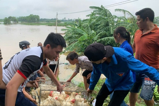 Mê Linh chi 13,3 tỷ đồng mua nhu yếu phẩm, đồ dùng thiết yếu hỗ trợ người dân phòng, chống lũ