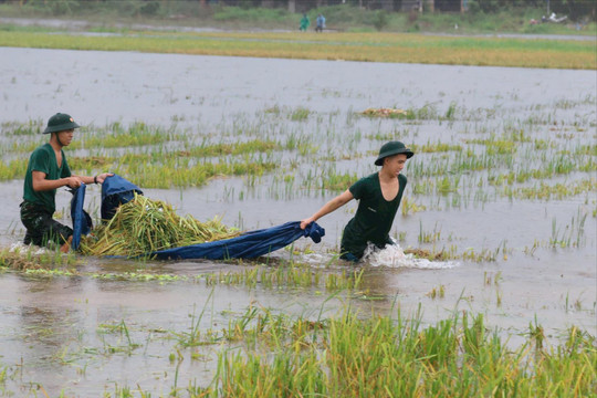 Điểm tựa Bộ đội Cụ Hồ